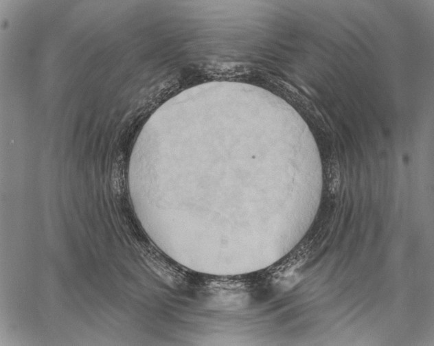 X0000060560515200512011645
