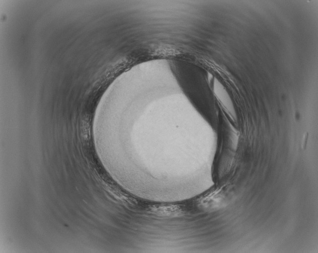 X0000060560517200512011645