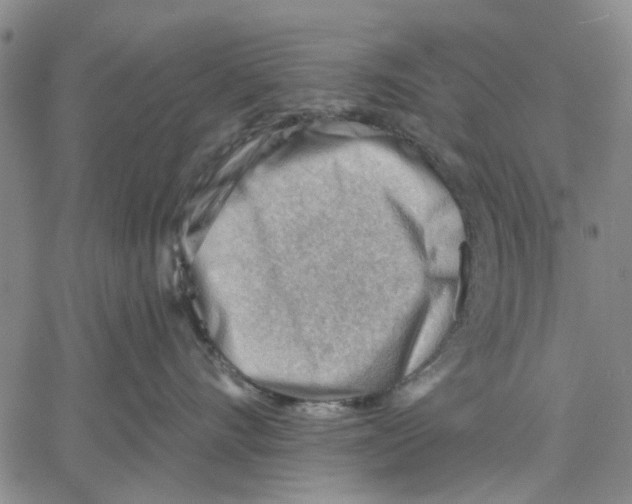 X0000060560528200512011645