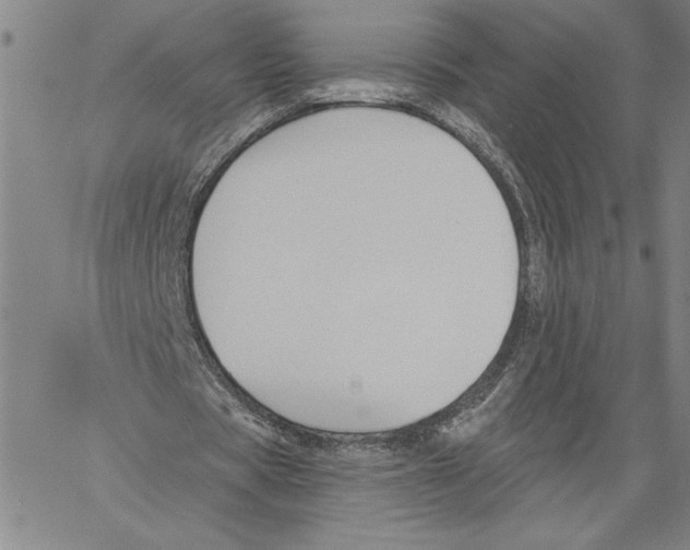 X0000060560529200512011644