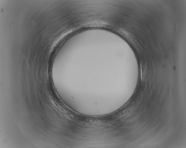 X0000060560531200512011644