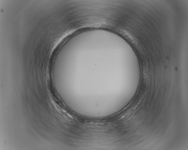 X0000060560532200512011644