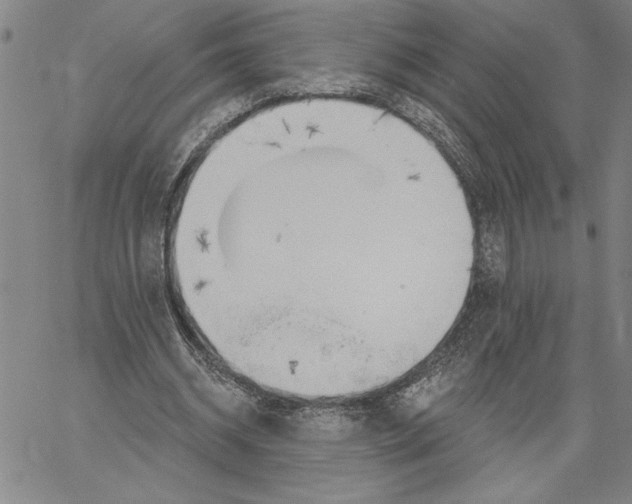 X0000060560534200512011644