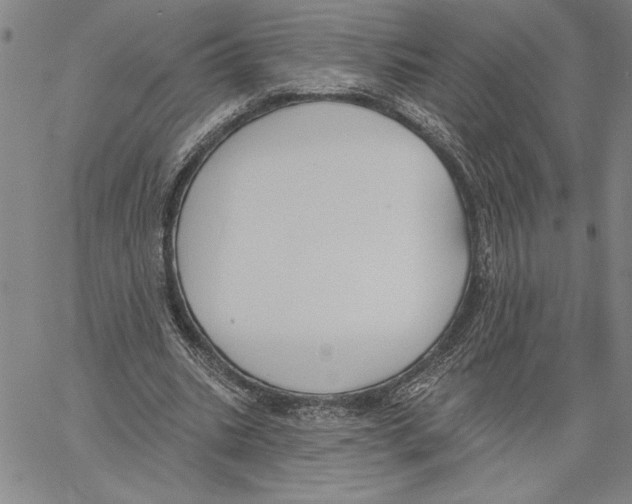 X0000060560535200512011644