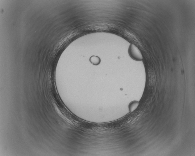 X0000060560538200512011644