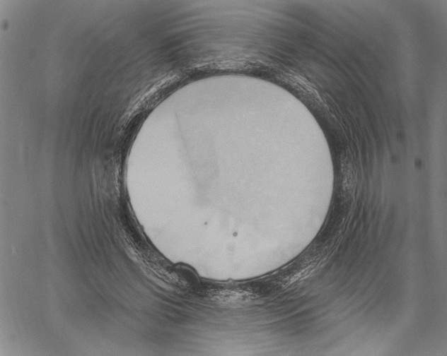 X0000060560542200512011644