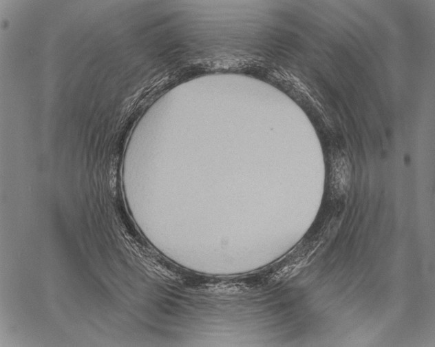 X0000060560545200512011644