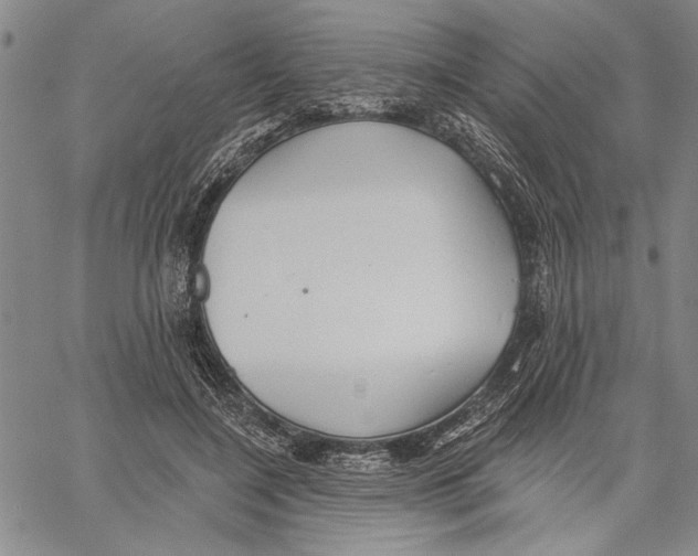 X0000060560548200512011644