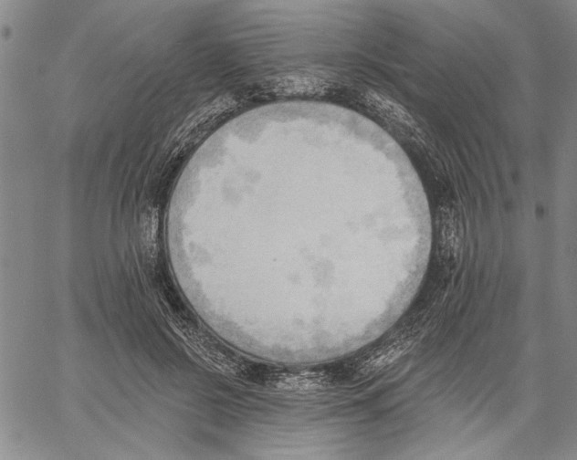 X0000060560550200512011644