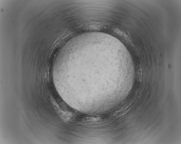 X0000060560552200512011644