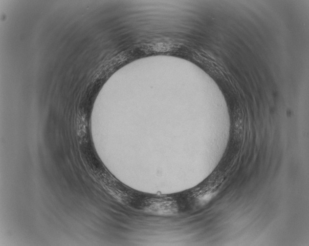 X0000060560555200512011644