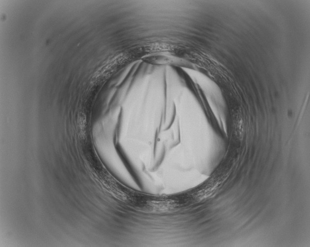 X0000060560556200512011644