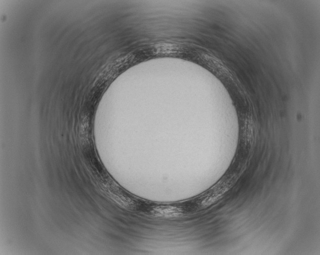 X0000060560557200512011644
