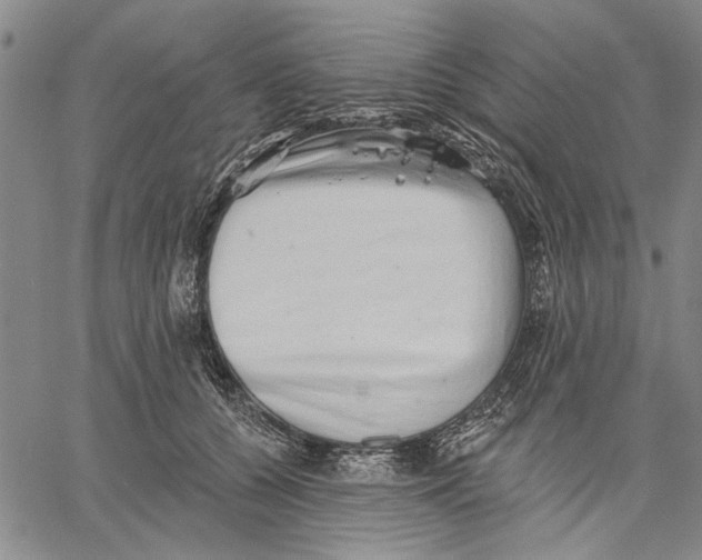 X0000060560560200512011644