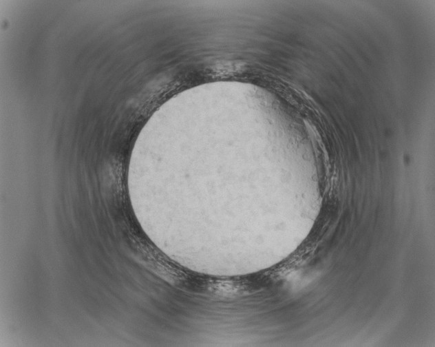 X0000060560565200512011645