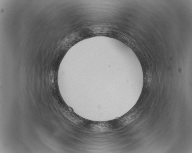 X0000060560567200512011645