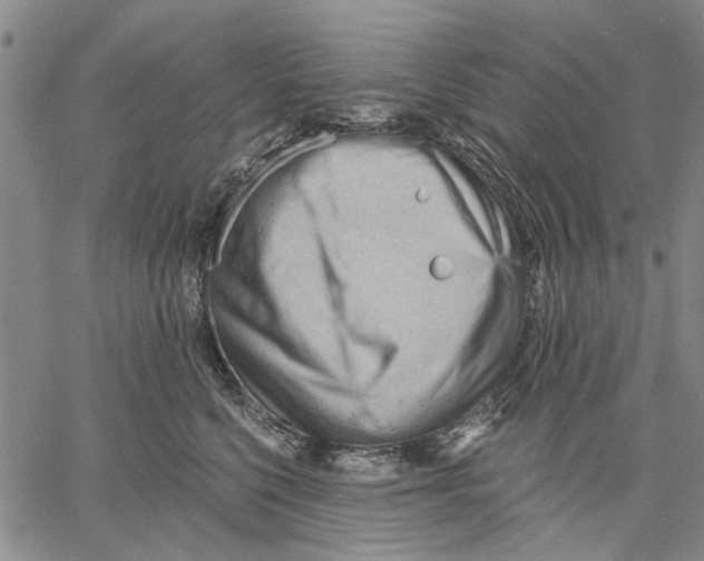 X0000060560568200512011645