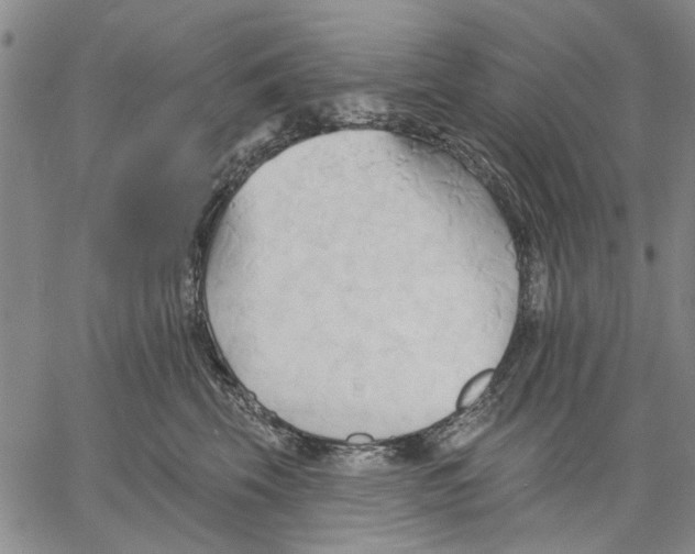 X0000060560569200512011645