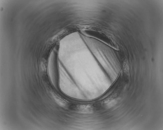 X0000060560570200512011645