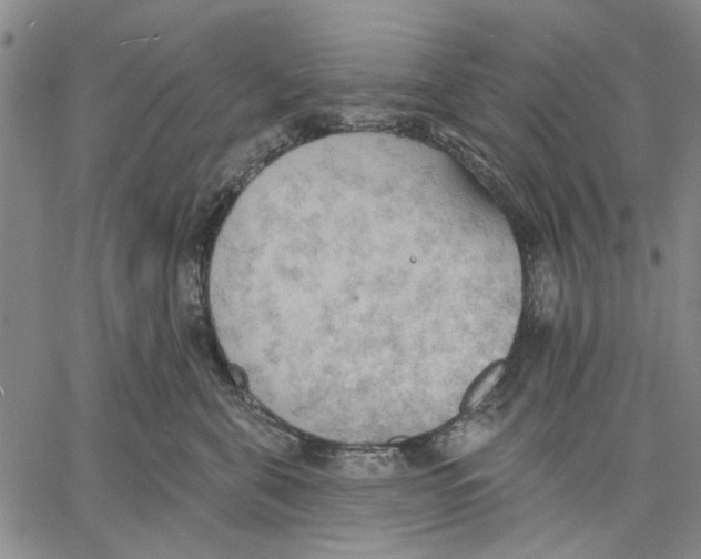 X0000060560571200512011645