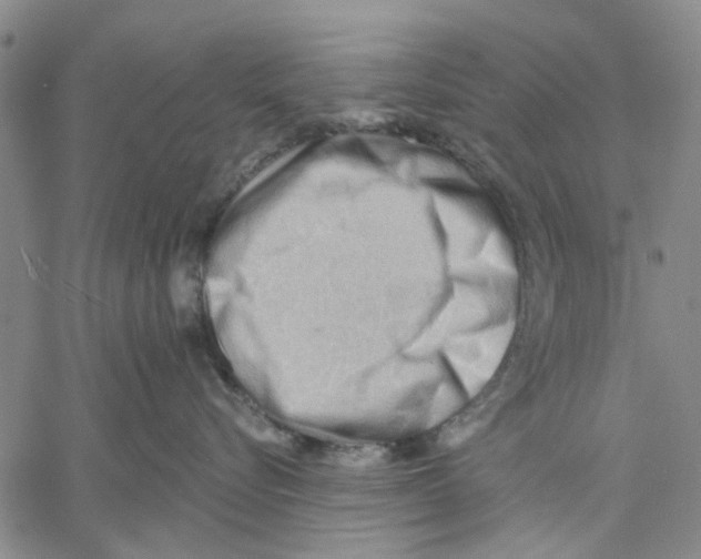 X0000060560576200512011645