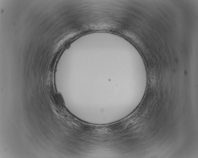 X0000060560583200512011644