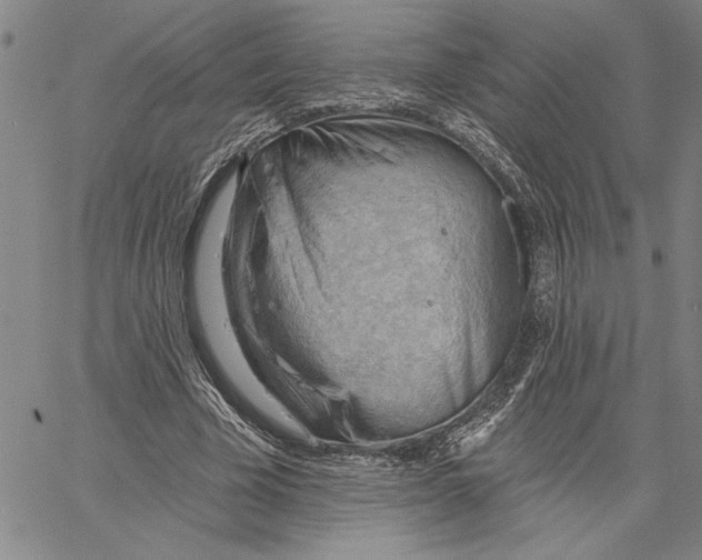 X0000060560585200512011644