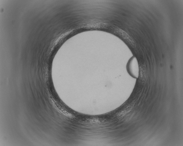 X0000060560588200512011644