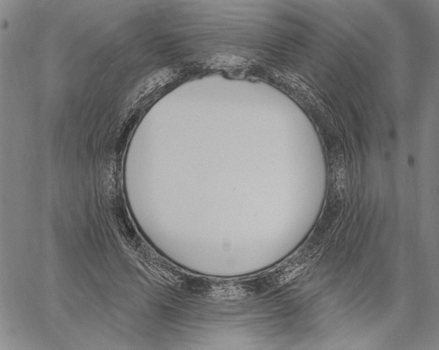 X0000060560591200512011644