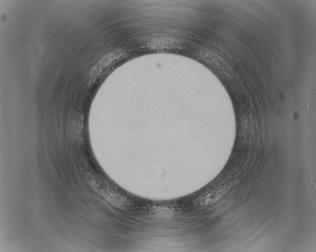 X0000060560592200512011644