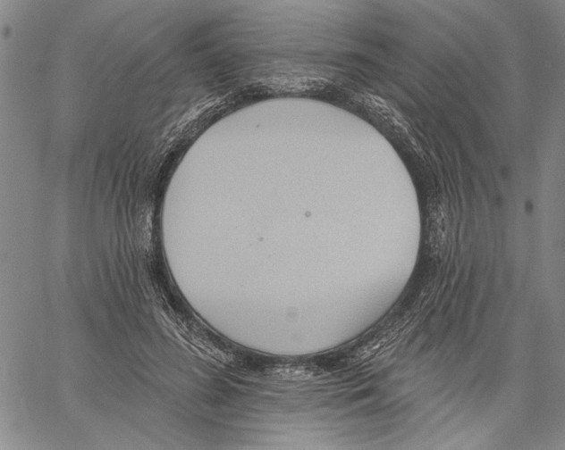 X0000060560596200512011644