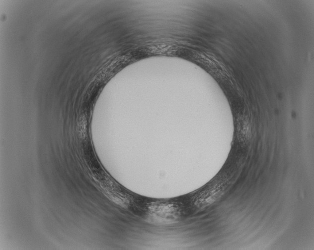 X0000060560602200512011643