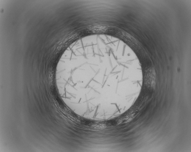 X0000060560604200512011643