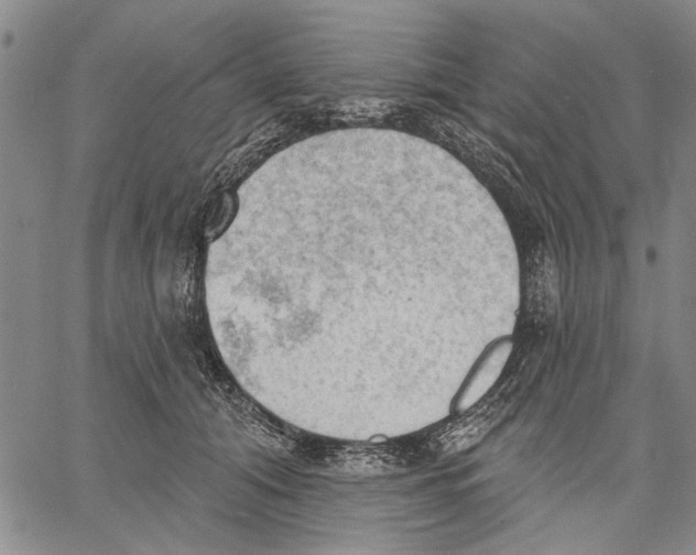 X0000060560608200512011643