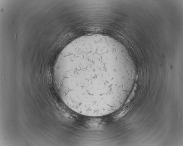 X0000060560609200512011643