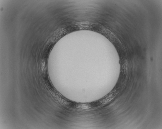 X0000060560610200512011643