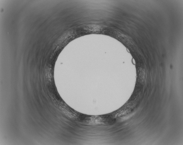 X0000060560612200512011643