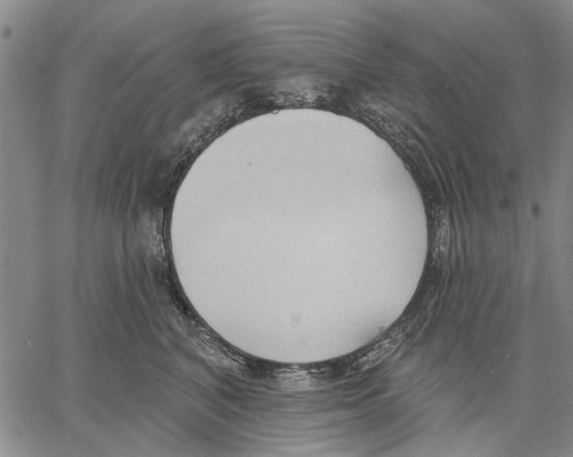 X0000060560616200512011643