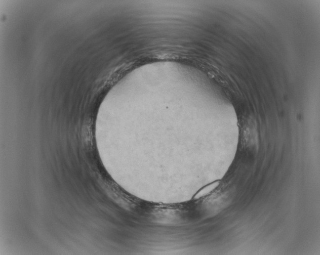 X0000060560620200512011643