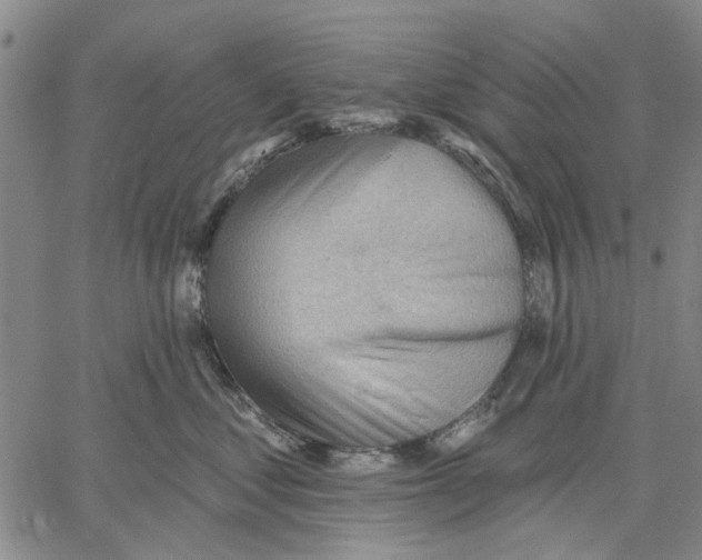 X0000060560621200512011643