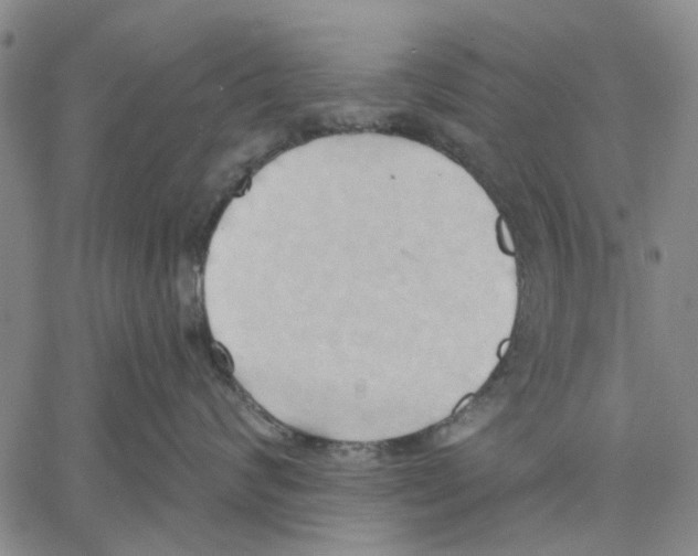 X0000060560624200512011643