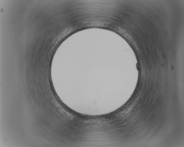 X0000060560625200512011642