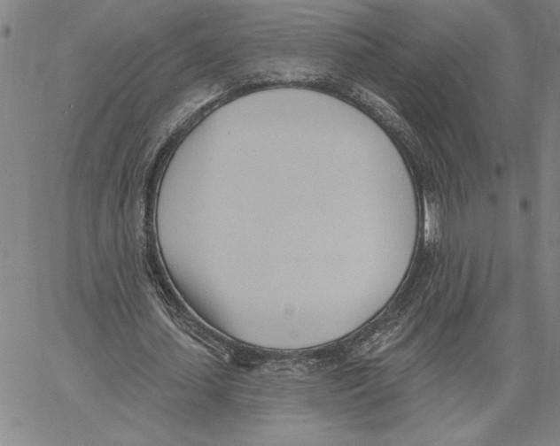 X0000060560627200512011642