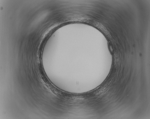 X0000060560628200512011642