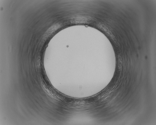 X0000060560631200512011642