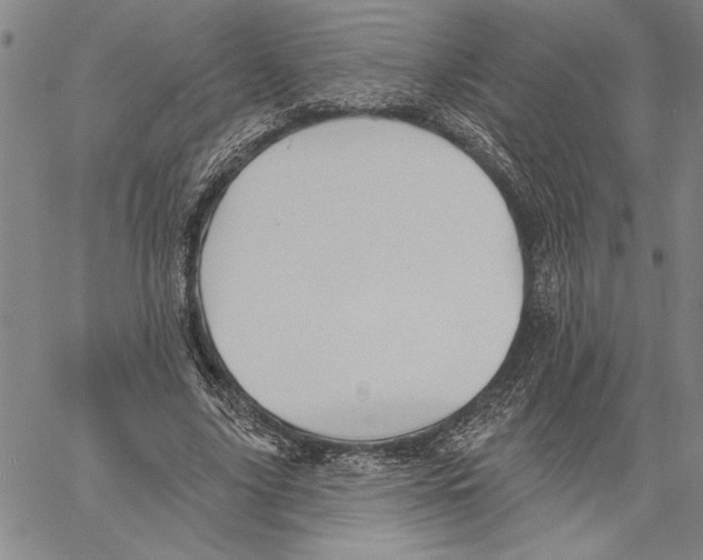 X0000060560635200512011642