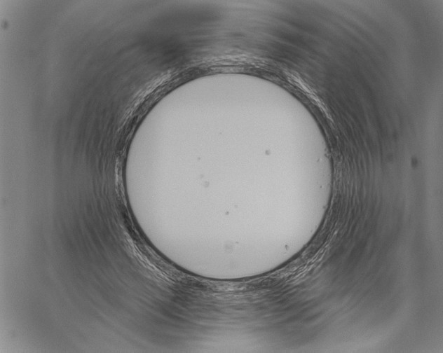 X0000060560637200512011643