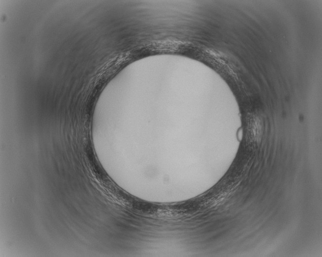 X0000060560641200512011643