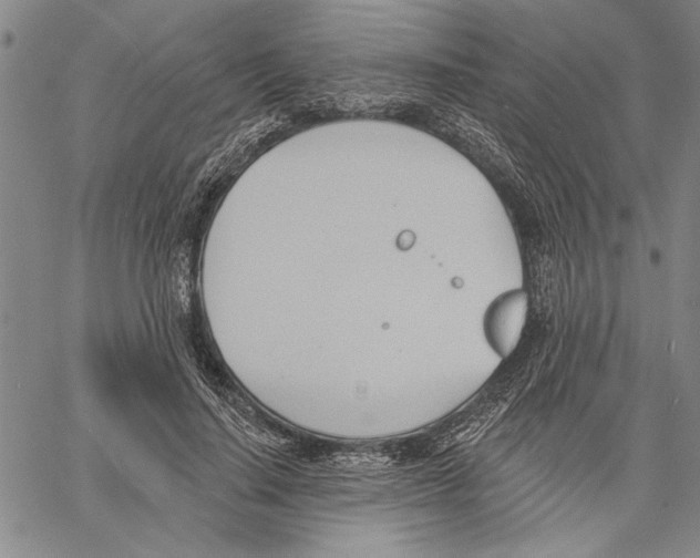X0000060560644200512011643