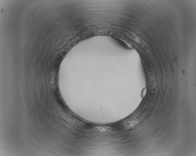 X0000060560654200512011643